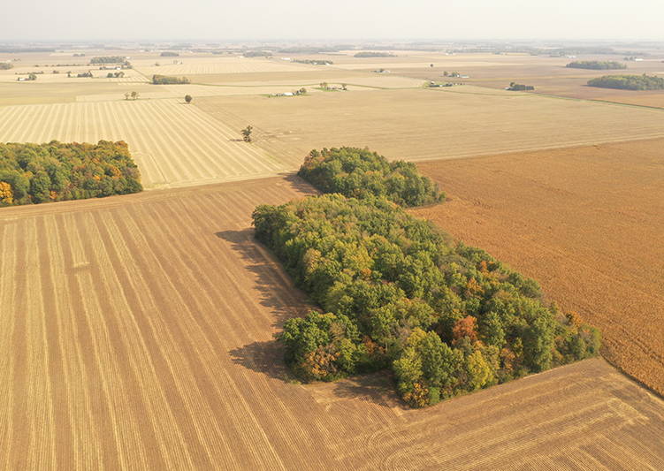 Van wert
