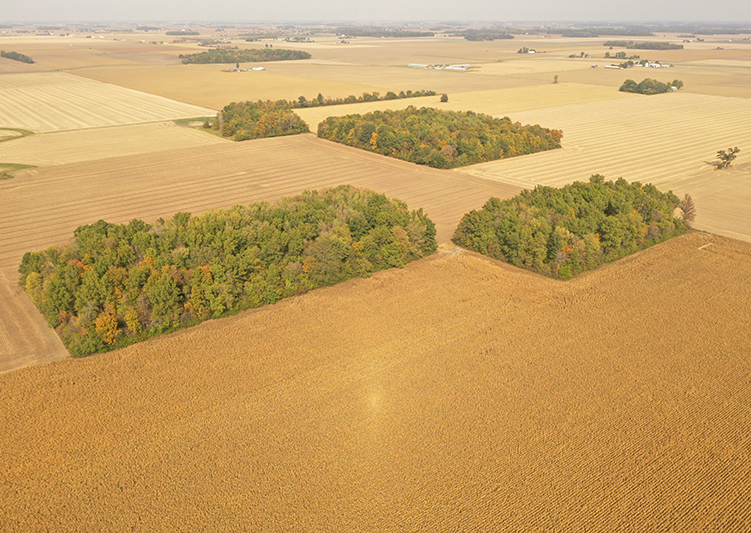 Van wert 3