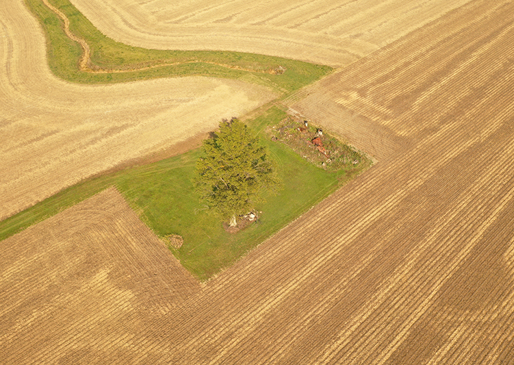 Vanwert2