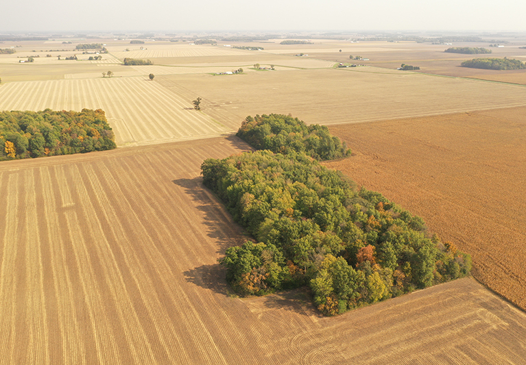 Van wert 4