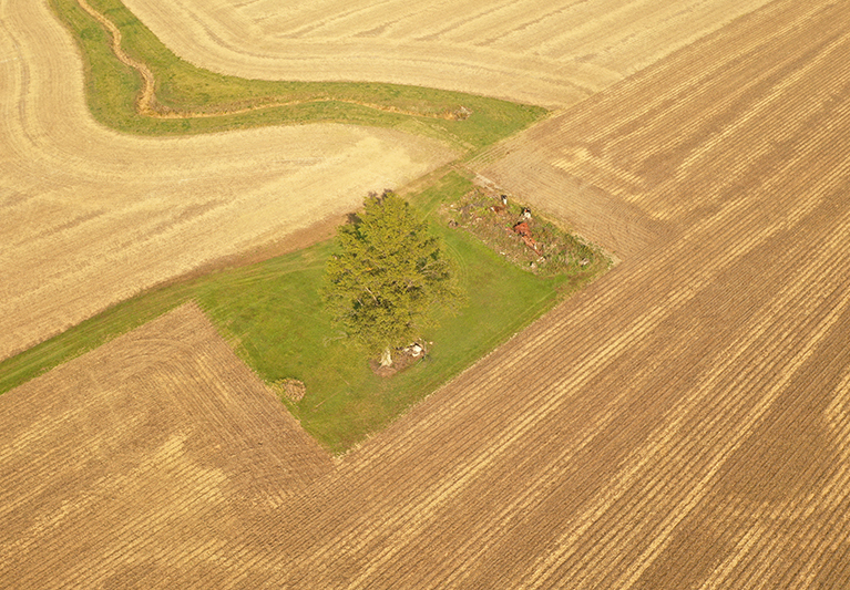 Vanwert2