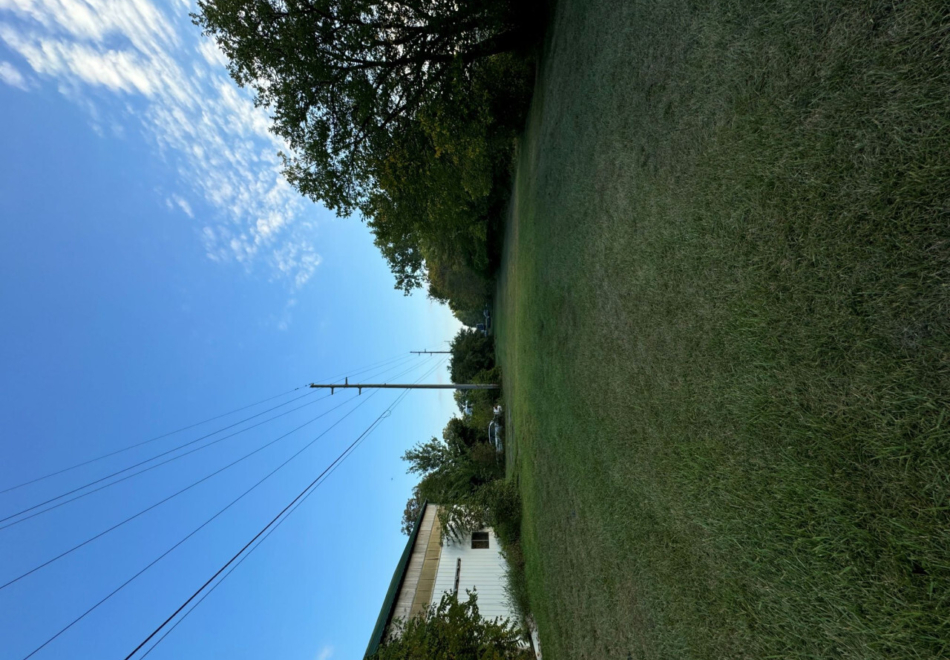 IMG 0955